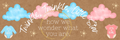 Banner - Gender reveal Twinkle, Twinkle, Little Star