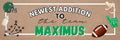 Banner - Baby Welcome To The Team New Baby
